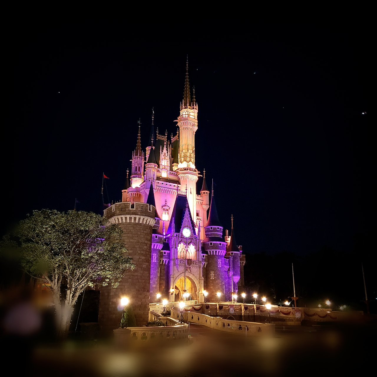 ディズニーランドに行ってきました。