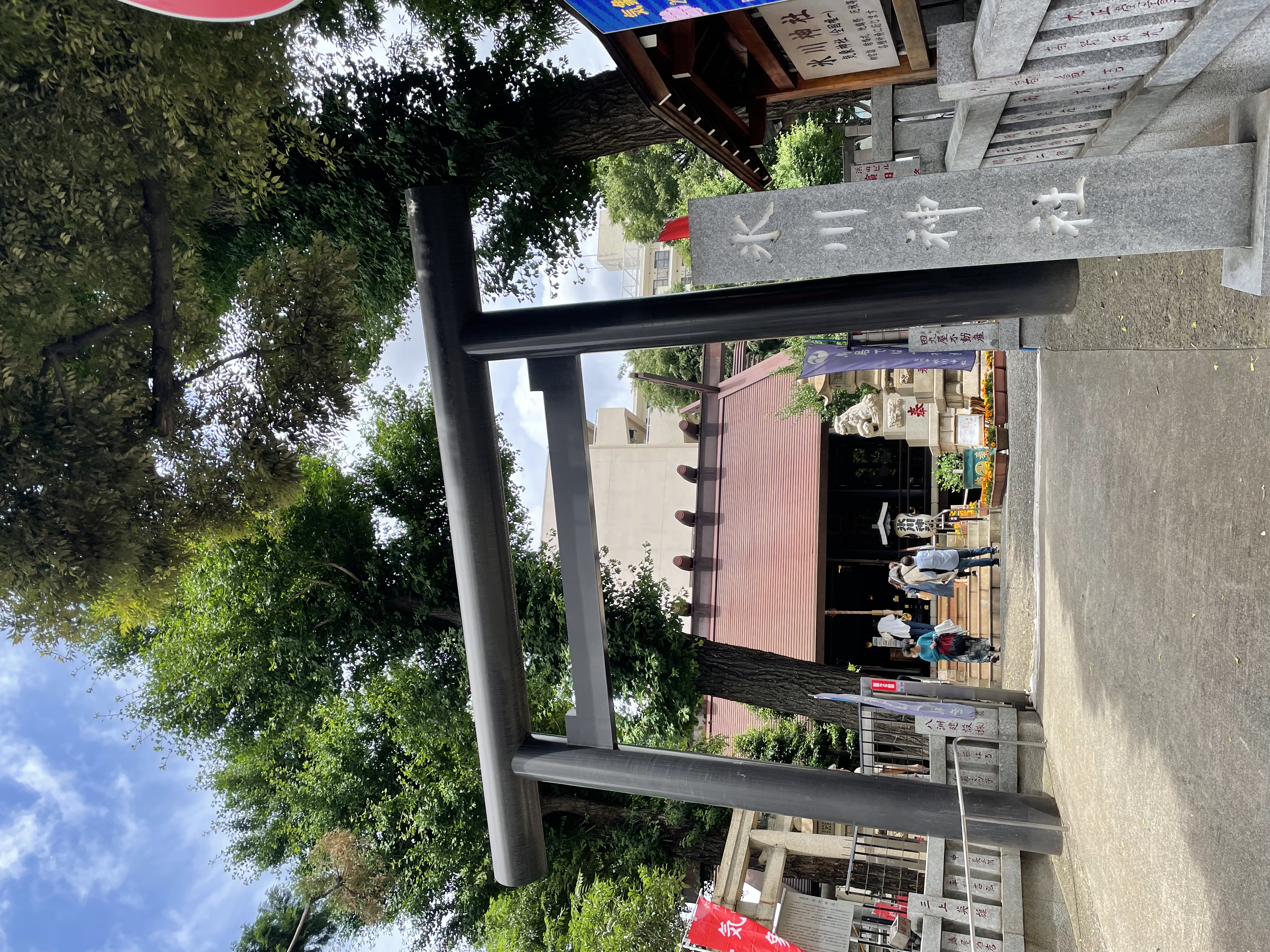 ついに梅雨到来