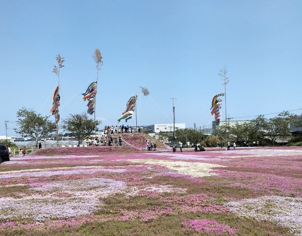 5月ですが…🌸